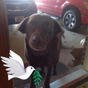 Meet your Posher, Terri